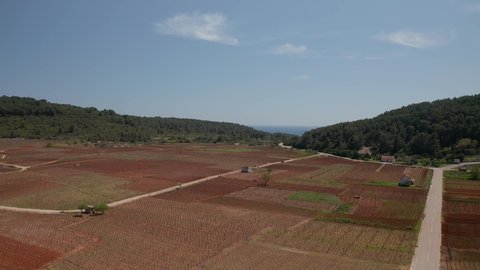 Aerial shot of the village Cara vineyard of Korcula island in spring time in Dalmatia region, Croatia