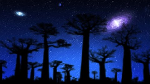Night Stars Sky Over Baobabs Trees Time Lapse. Starry Dark Blue Sky with Galaxies and Stars Moving on tope of Morondava tree. Madagascar Travel Dreams	
