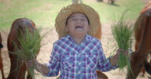 Slow motion scene of a happy smiling Asian farmer boy waring hat and who is the son of an Asian farmer family, holding handfuls of grass to helping his family feed the cows with fresh grass.