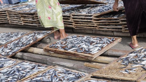 Sun dried fish. Stock-fish on the brown bamboo tray. Asian woman drying salted fish in a fishing village for sale at the fish market or local market in Surabaya, Indonesia on March 27, 2022