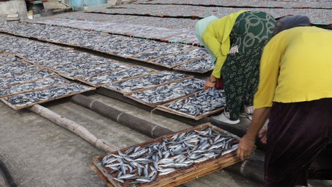 Sun dried fish. Stock-fish on the brown bamboo tray. Asian woman drying salted fish in a fishing village for sale at the fish market or local market in Surabaya, Indonesia on March 27, 2022