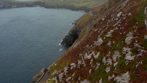Fly along rocky escarpment steeply falling to sea. Grown with colourful vegetation. Car driving on panoramic route in middle of slope. Ireland