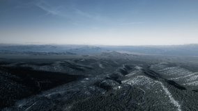 Aerial video of evergreen mountain slope near Charleston peak, drone footage from Spring Mountains, Nevada, USA