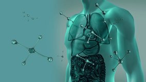 Animation of falling molecules over human body model. global science research and technology concept digitally generated video.