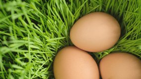 Chicken egg, rotation shot, Chicken fresh raw eggs.Healthy fresh food ingredients for breakfast. Animal products. Grocery. Chicken farm fresh eggs