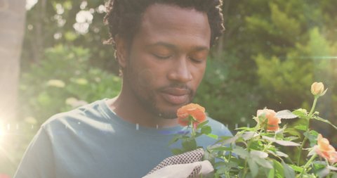 Animation of glowing lights over african american man smelling flowers in garden. gardening and community garden week concept digitally generated video.