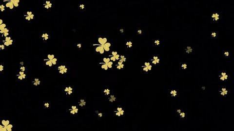 Golden Shamrocks on a black Background, St Patrick's Celebration, Lucky Shamrocks Animation