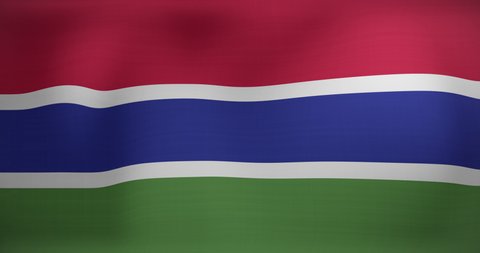 Animation of waving flag of gambia. patriotism and flag of the world concept digitally generated video.