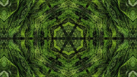 Footage kaleidoscope green mandala stop motion animation graphic illustration background geometric  shape abstract neon blend mirror doodle full color