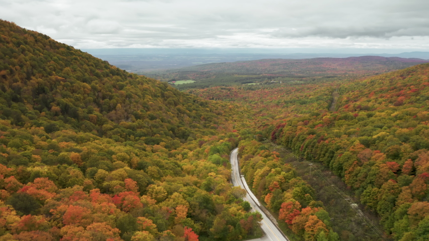 Colorful bright foliage on overcast rainy day. Arial follow footage 4K vibrant red and orange autumn nature background. Cars driving by mountain road in dense greenwood. Scenic aerial of fall forest Royalty-Free Stock Footage #1088693123