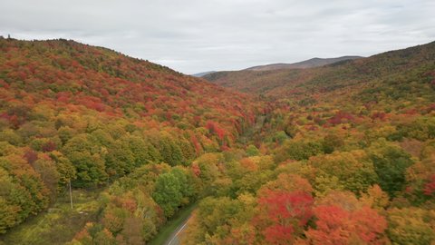 AERIAL Flying above stunning colorful treetops with turning leaves on cloudy day. Beautiful autumn trees in yellow, orange and red forest on rainy fall day. Fall foliage in fall forest, Vermont USA 4K