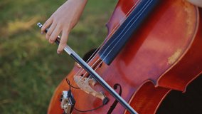 Female hand holding a bow and playing cello instrument outdoors. Close up. Green grass backdrop in blur. - Powered by Shutterstock - Get 15% off with code: PIKWIZARD15