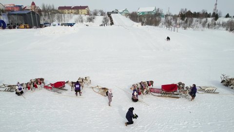 Reindeer breeders are preparing for reindeer races. Salekhard. Yamal. Russia.