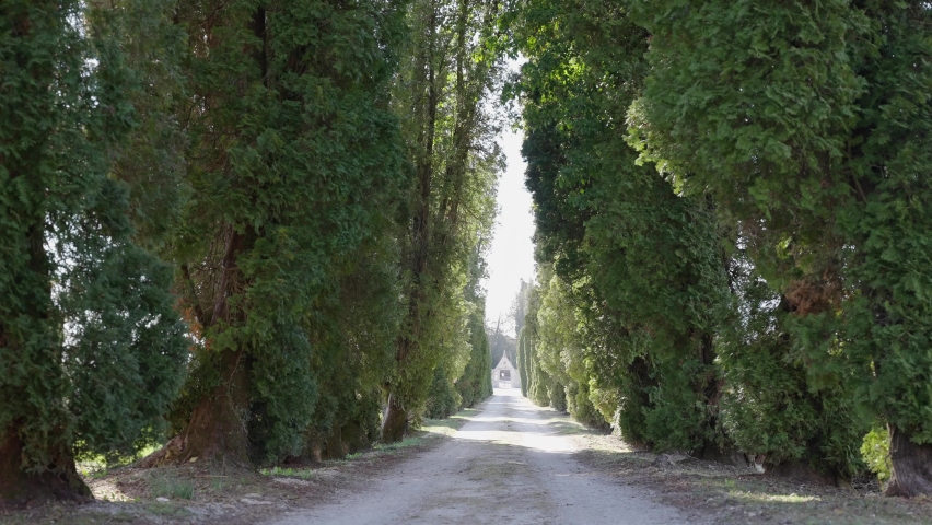 beautiful view from the bottom of the driveway in an Italian suburb with the view of the gate