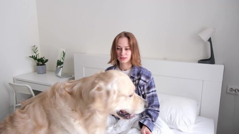 A young woman is happily spending time with her purebred dog. Girl scratching her golden retriever in her bedroom on the bed. Concept: love of animals, friendship, authenticity, happiness, pets