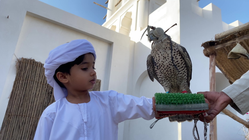 Arabic child with traditional emirates clothes kandura ,head scarf.  Emirati kid holding falcon bird Royalty-Free Stock Footage #1088718845