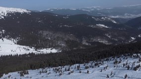 Winter Mountain Dragobrat. Aerial View. Carpatian. Ukraine