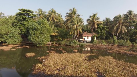 Tropical vegetation on river shores at Alappuzha or Alleppey, India. Side shot from boat