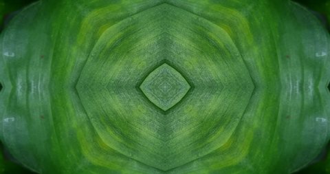 Beautiful texture kaleidoscopic design, abstract kaleidoscope background, unique kaleidoscope animation.