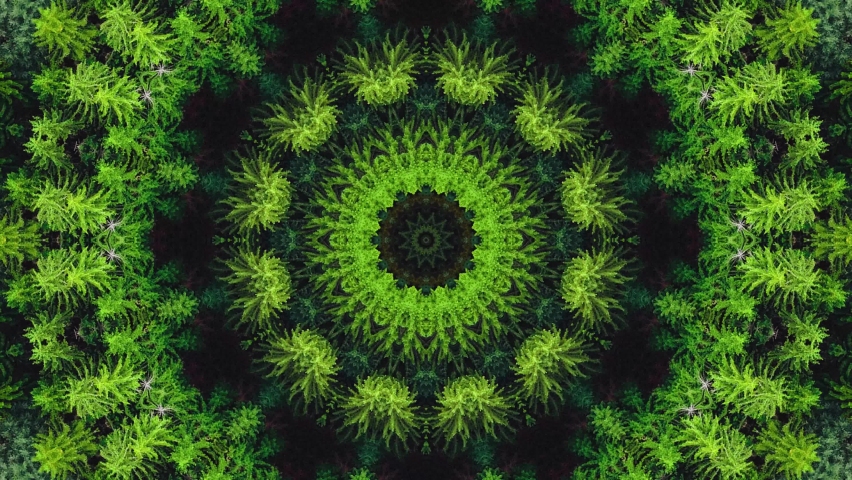 Kaleidoscope green symmetrical fractal design animation on hypnotic motion background. Dynamic ethnic abstract texture. Forest trees ornament. Royalty-Free Stock Footage #1088733079