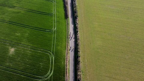 Drone shot chasing 6 amateur cyclists along a quiet country road in the English countryside