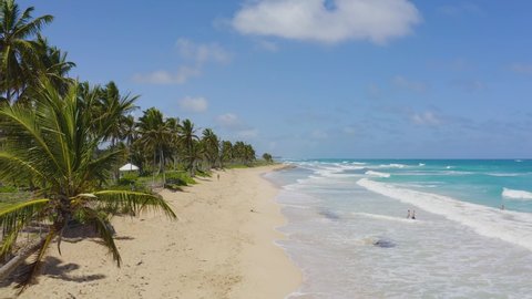 Sea waves on the palm beach of a tropical peninsula. Summer sunny day on the Caribbean coast. Wildlife for travel and recreation. Turquoise sea green palm trees and white sand.