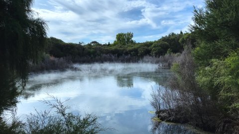 Sulphurous steam rises off a small geothermal lake surrounded by native trees and scrub in Rotorua, New Zealand