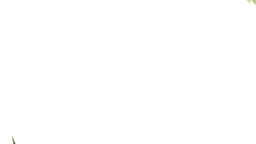 Animated Flower Frame for Invitation Card,with Luma Channel Included Full HD Video Element