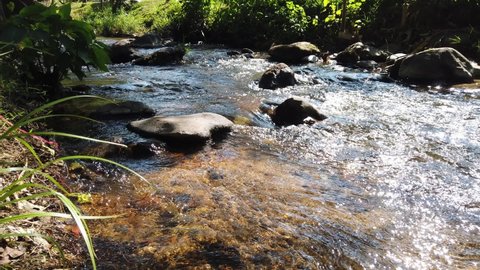 Wild mountain river flowing through stone boulders.Mountain river water flowing close up.Water clear stream river flowing in the deep forest