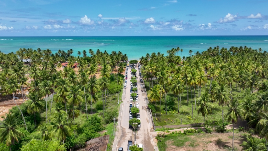 Sao Miguel dos Milagres Beach at Alagoas Brazil. Miracle Route at Alagoas Brazil. Tropical travel destination. Northeast Brazil. Palm trees forest at Sao Miguel dos Milagres Alagoas Brazil. Royalty-Free Stock Footage #1088745375
