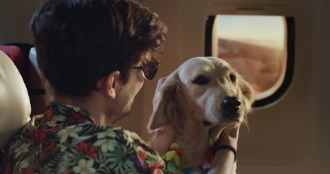 Cinematic shot of young tourist puts hawaiian flowers necklace to his pet golden retriever dog while traveling together in cabin of aircraft during international flight to summer holiday vacation trip