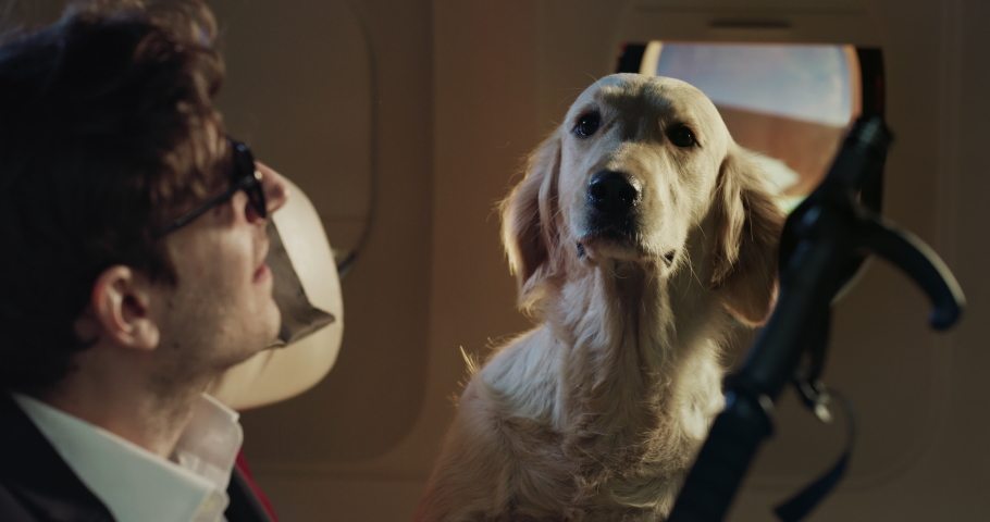 Cinematic shot of young blind passenger together with his guide golden retriever dog seating in aircraft cabin while traveling with comfort on board of airplane during international flight to vacation Royalty-Free Stock Footage #1088750763