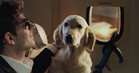 Cinematic shot of young blind passenger together with his guide golden retriever dog seating in aircraft cabin while traveling with comfort on board of airplane during international flight to vacation