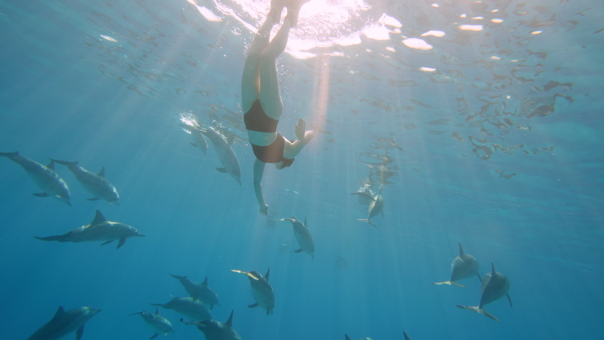 Beautiful young woman swimming underwater with dolphins in pristine blue ocean water, amazing snorkeling adventure. Armature freediver girl diving in red sea with bottlenose dolphins. Travel concept