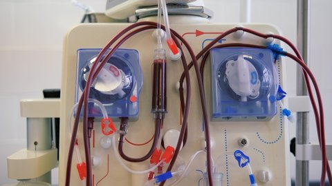 Blood purification procedure. Hardware Hemodialysis.