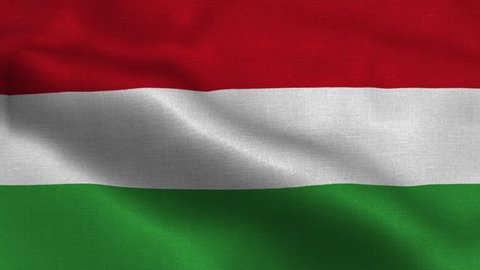Hungary flag fabric texture of the flag and 3d animation background.