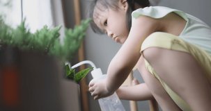 4K Video  little asian cute girl watering the little plant in home. Concept for lifestyle kid activity.
