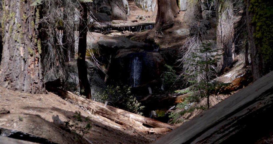 Small Waterfall by Congress Trail in Sequoia National Park