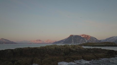 Seabirds in flight along hostile snowy coastline; arctic sunset aerial