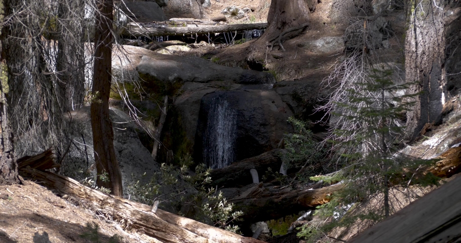 Slow Motion Small Waterfall by Congress Trail in Sequoia National Park