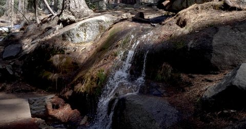 Small Waterfall by Congress Trail in Sequoia National Park