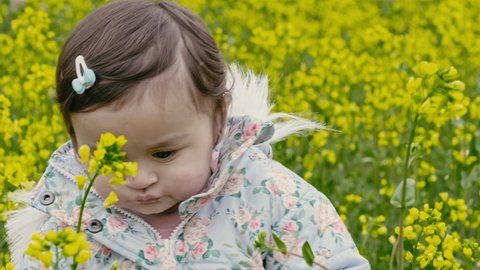 Shot of cute Indian baby girl playing innocently in a blooming mustard field. Kid smiling and enjoying in a farm in the hills of Uttarakhand, India. 