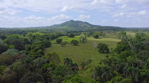Forest Bordering an Open Field with a Mountain and Cloudy Skies in the Background Bayaguana Dominican Republic - Forward Panning Aerial Shot