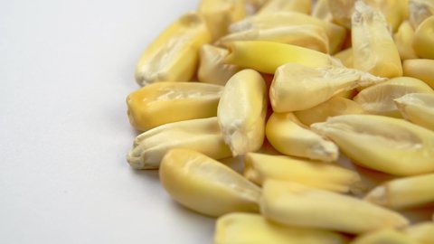 Dried cancha maize kernels on a white plate. Dry corn seeds. Macro. Rotation