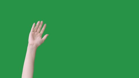 Farewell gesture. Leaving goodbye. See ya. End expression. Female hand waving bye isolated on green chroma key empty space promotional background.
