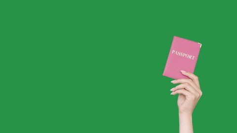 Citizenship ID. Travel agency. Immigration service. Customs security. Female hand holding passport isolated on green chroma key empty space advertising background.