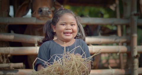 A happy smiling cute little girl who is an indigenous Asian farmer's daughter, feeds herd of cows in a cowshed with dry straw joyfully at a rural area.