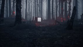 An ancient switched-on television set stands in the middle of a burnt-out forest. Vintage TV set in a dark forest. Apocalyptic forest concept. Animation perfect for retro or apocalyptic backgrounds. - Powered by Shutterstock - Get 15% off with code: PIKWIZARD15