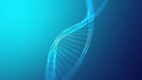 Dna genome rotating seamless animation. Bio genetic medical science. Gene helix model 4k motion background. Molecular biology future concept. - Powered by Shutterstock - Get 15% off with code: PIKWIZARD15