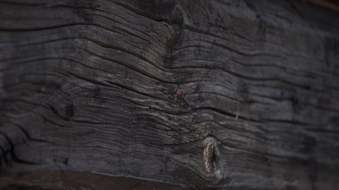 Working with nail and hammer, hammering nail, pulling out nail, cinematic 4K